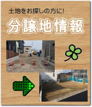 �����n�̏��